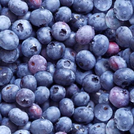 Berry Good   509BLUE  ( Blue Berries )